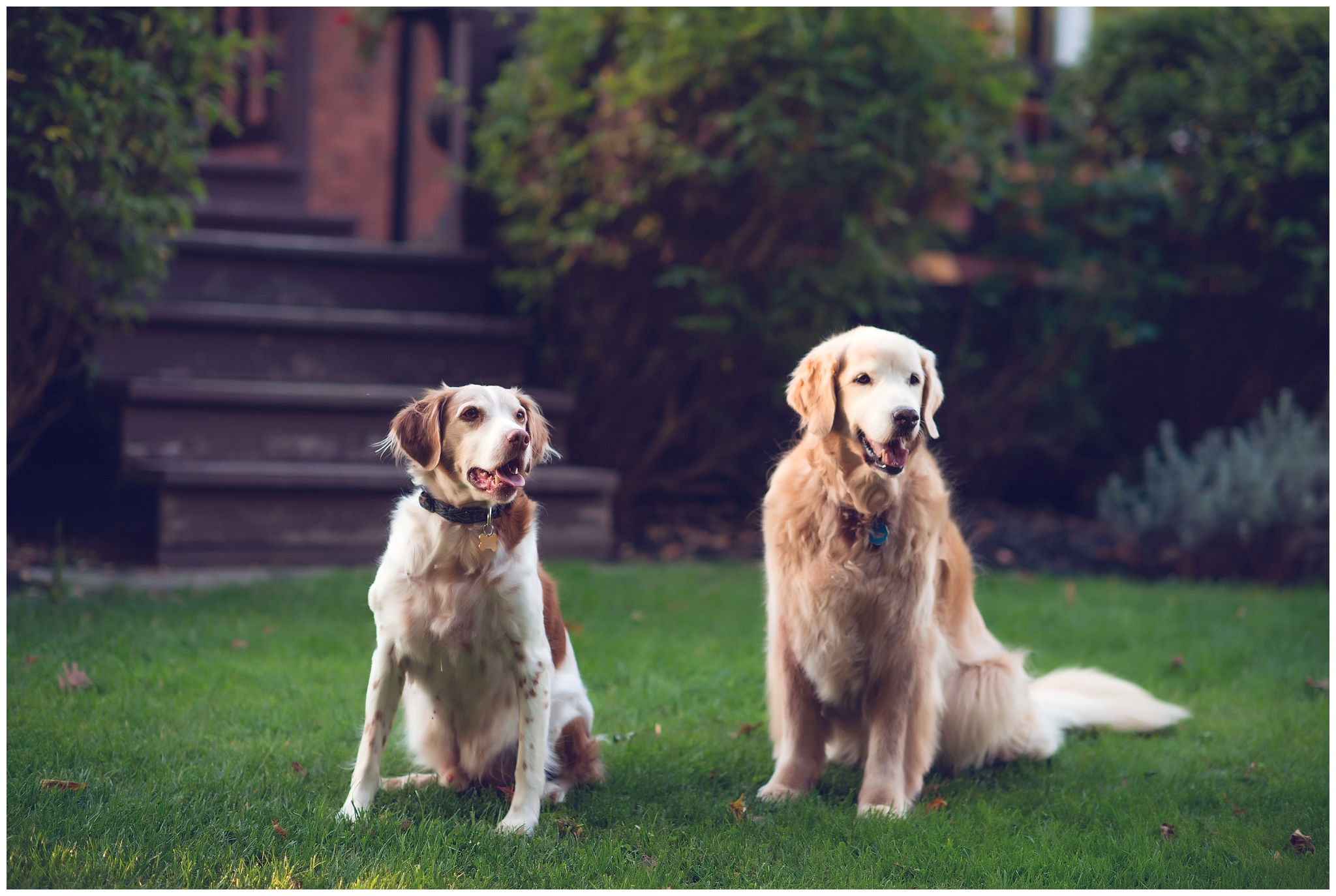 Jarvis Family | Ottawa Family Photographer