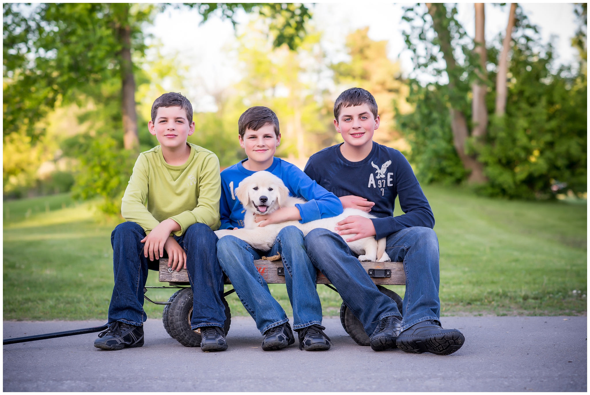 Ottawa Pet Photographer | Puppy Willow