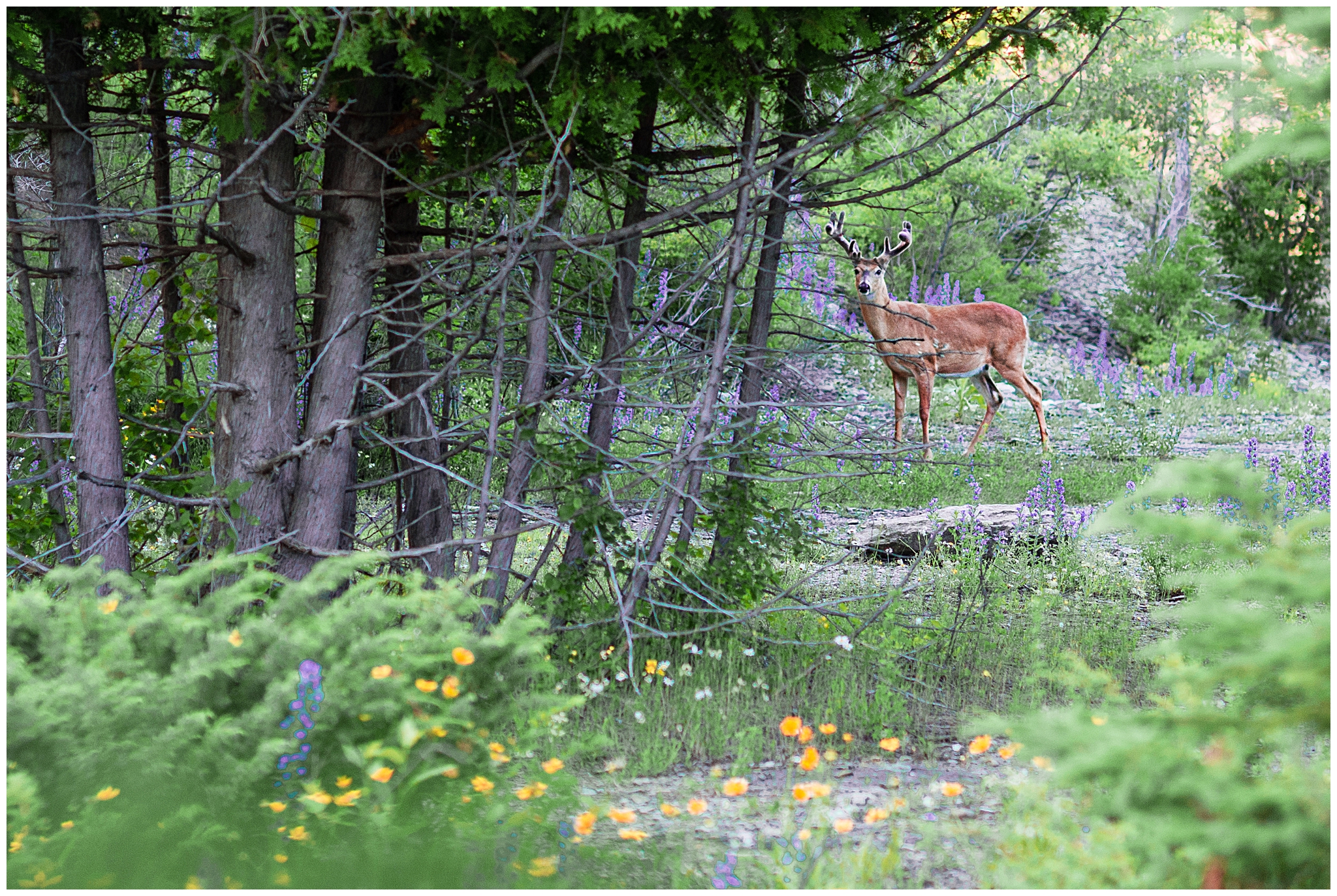 Ottawa Maternity Photographer | Vickie & Peter