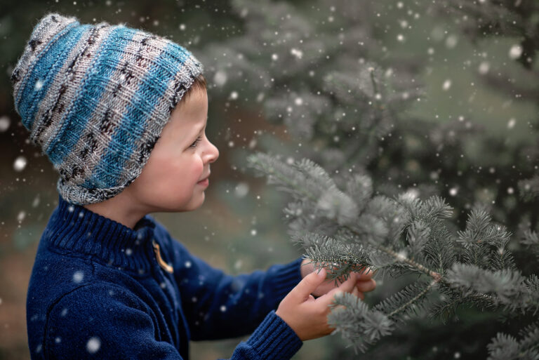 Ottawa Family Photographer | Limited Edition Outdoor Evergreens