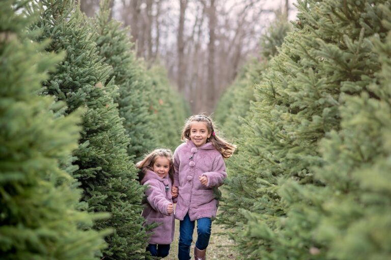 Ottawa Children’s Photographer | At the Tree Farm with L & S